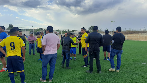 Campo BV - Visual