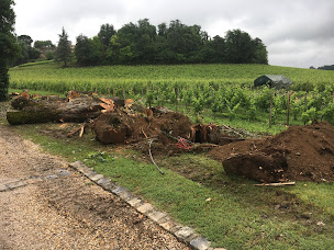 Photo n°7 de Nature en Herbe à Castelviel (Service d'élagage)