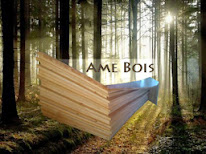 Sarl Ame Bois à Bourgoin-Jallieu