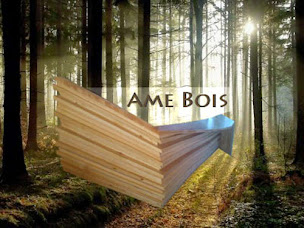 Photo n°1 de Sarl Ame Bois à Bourgoin-Jallieu (Atelier de menuiserie)