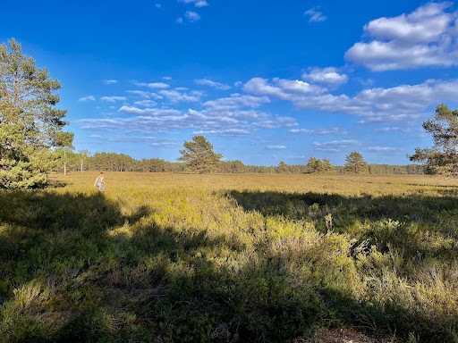 Parkplatz Nemitzer Heide