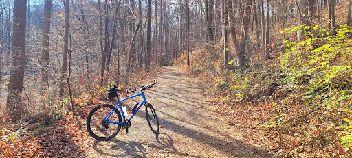 Parking Rock Creek Regional Park - Thumbnail