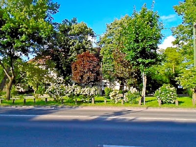 Óbudai Waldorf Gimnázium