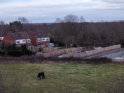 Dilton Marsh - Visual