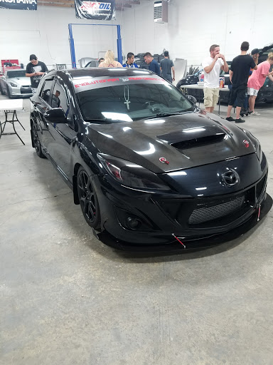 Evolutionary Performance LLC - Visual