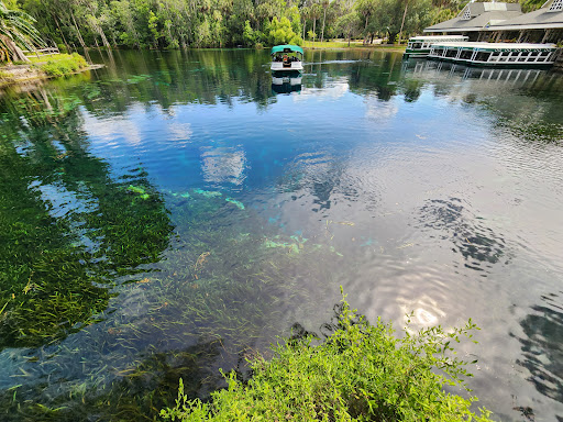 Clear Canoeing - Visual