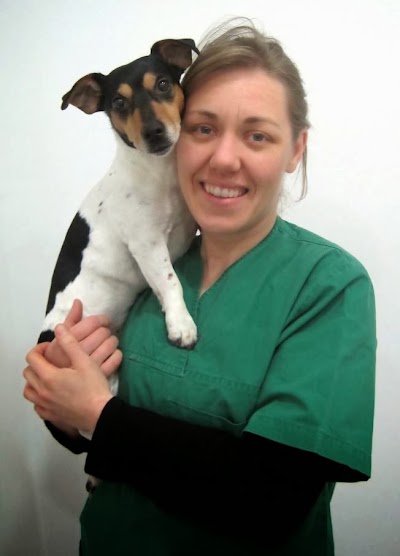 Photos of Dierenarts Van Rompaey Kim