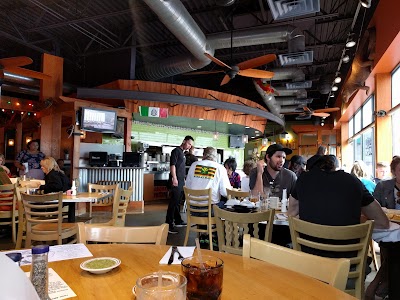 Photos of Loco Lizard Cantina