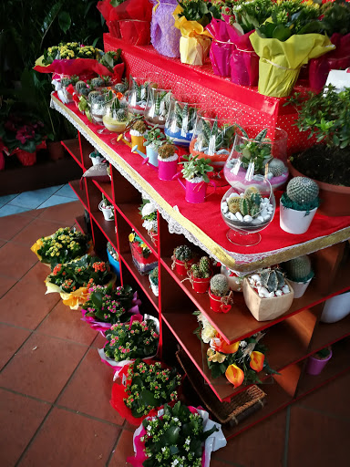 I Fiori di Mister Lello