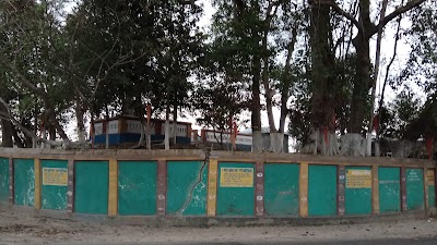 Photos of Chandi Jame Masjid