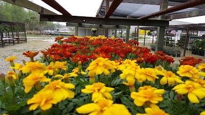 Photos of South Carolina State Farmers Market