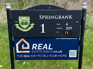 Real Estate Agent