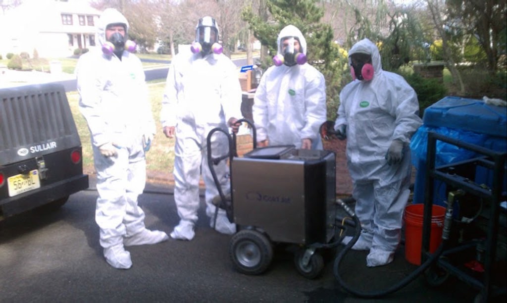 Above & Beyond Mold Inspection & Removal - Teaneck photo