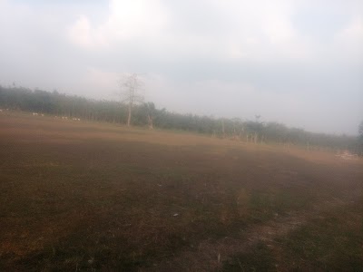 Photos of Stadion Sendang Gede