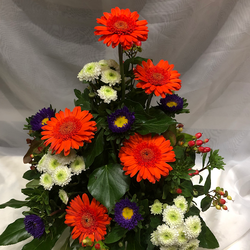 Blumen Rausch - Thumbnail