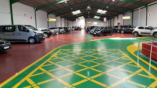 Helle Hollis Car Rental