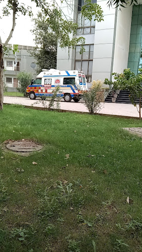 Af1qipmmr Yqs8gscfhygbs0idetdwyjssmke8hdhkfr=s508 K No