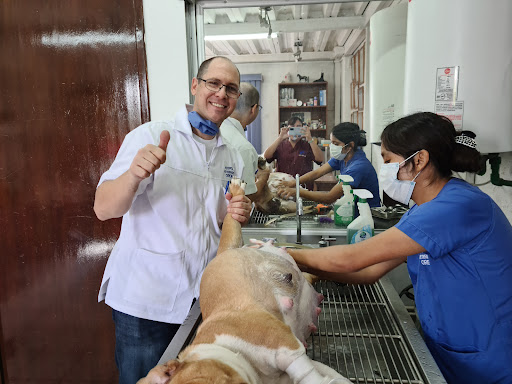 HOSPITAL VETERINARIO OREJAS