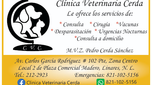 Clinica Veterinaria Cerda