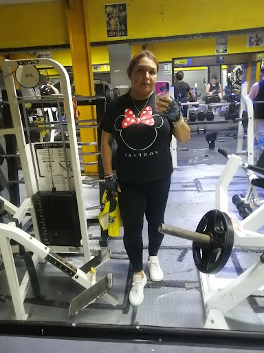 BESTIA´S GYM - Thumbnail