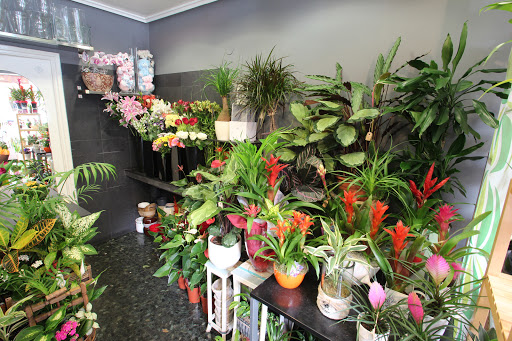 Floristerias Inés Quintana - Thumbnail