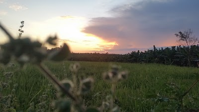 Photos of Weheragodalla Rajamaha Viharaya