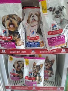 Fotografía de SARAMA PETS LYC PETSHOP Perro