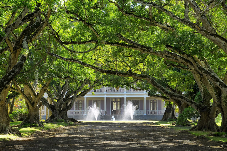 Château de Labourdonnais by null