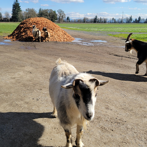 Fir Point Farms - Thumbnail