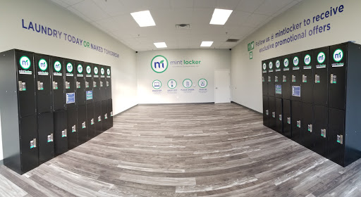 Mint Locker - Visual