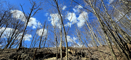 Black Mountain Off Road Adventure Area Gallery - United States