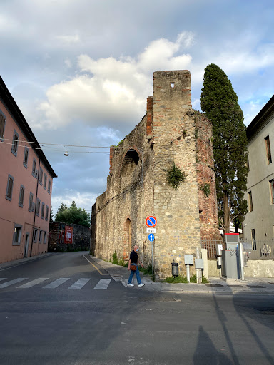 P. Treviso, 1 - Thumbnail