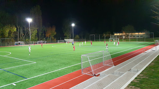 Stadion Regelschule Wolf - Visual