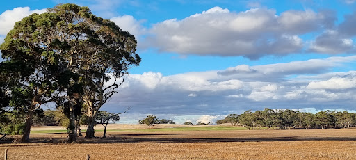 Keyneton Lutheran Cemetery