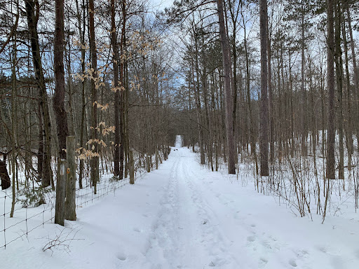 Hall Tract - Thumbnail