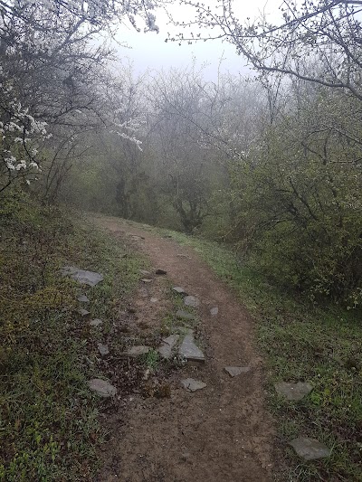 Photos of Kuh-e Emamzadeh Qasem