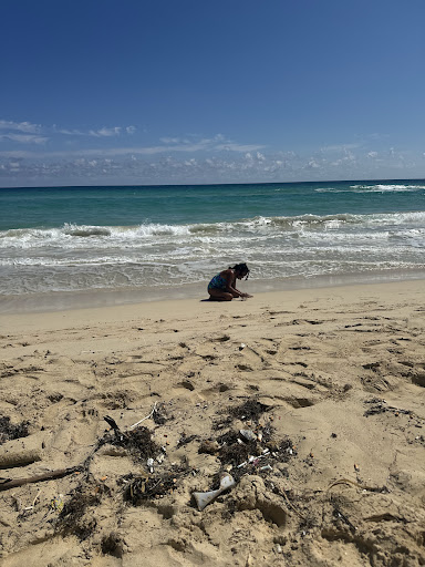 Playas del este - Visual