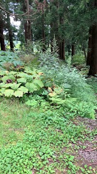 坊平のお清水(湧水 里の名水・やまがた百選)