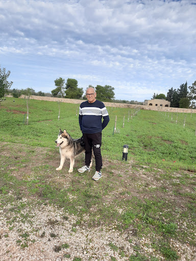 Ambulatorio Veterinario Dott.ssa Mengoli - Thumbnail