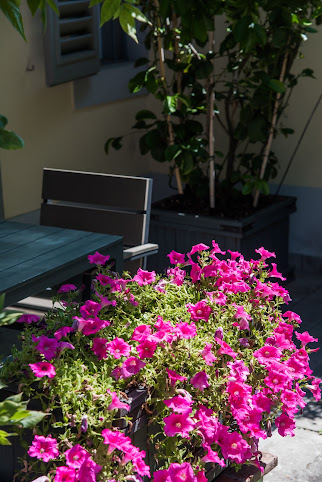 La Fonderia Firenze by null