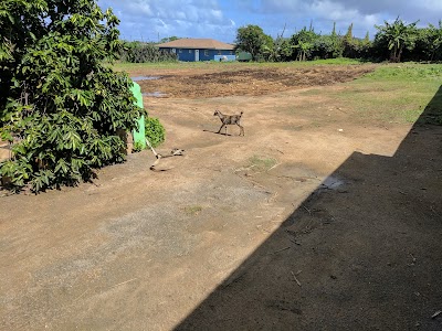 Photos of Rancho Loco Aruba