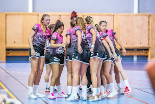 Photo n°11 de Majestee à Saint-Jean-de-Védas (Société de flocage)