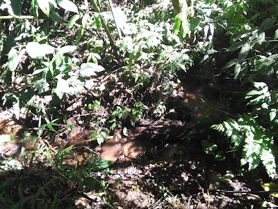 Photos of Cascada El Rinc&oacute;n