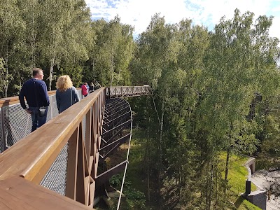 Photos of Mėsainių Lizdas