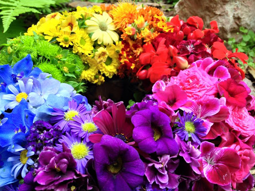 Marios Blumenparadies - Visual