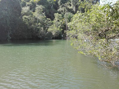 Photos of El Cormoran
