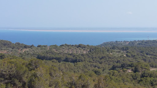 Campo de Fútbol L'Ametlla de Mar - Thumbnail