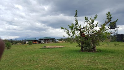 Photos of Chestnut Cafe