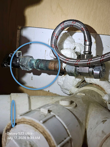 Home inspector article