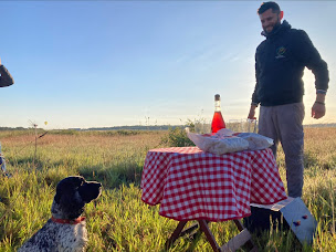 Photo n°16 de Balloon Revolution à Amboise (Agence de vols touristiques en montgolfière)